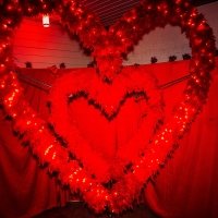 Valentine 2023 - Photos - Acanthus