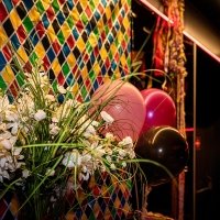 Carnaval 2023 - Photos - Acanthus