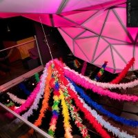 Carnaval 2023 - Photos - Acanthus