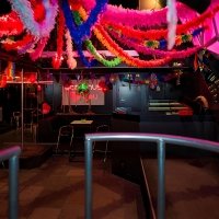 Carnaval 2023 - Photos - Acanthus