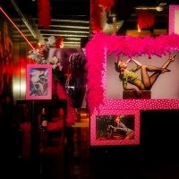 Pinup 2023 - Fotos - Acanthus