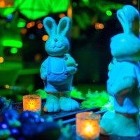 Playboy 2023 - Photos - Acanthus