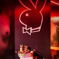 Playboy 2023 - Photos - Acanthus