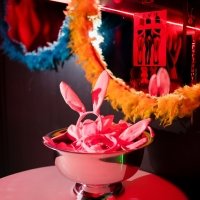 Playboy 2023 - Photos - Acanthus