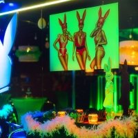 Playboy 2023 - Photos - Acanthus
