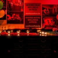 Candylovers 2023 - Photos - Acanthus