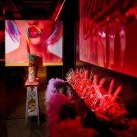 Candylovers 2023 - Photos - Acanthus