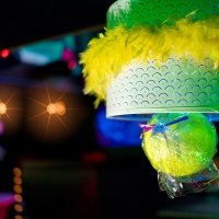 Candylovers 2023 - Photos - Acanthus