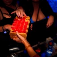 Striptease 2023 - Photos - Acanthus