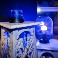 Police 2023 - Photos - Acanthus