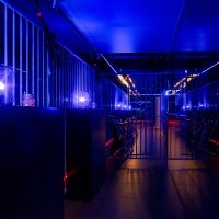 Police 2023 - Photos - Acanthus