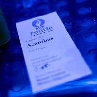 Police 2023 - Photos - Acanthus
