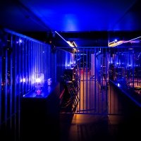 Police 2023 - Photos - Acanthus