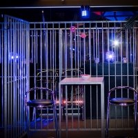 Police 2023 - Photos - Acanthus
