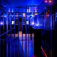 Police 2023 - Photos - Acanthus