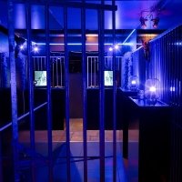 Police 2023 - Photos - Acanthus