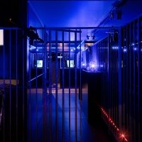 Police 2023 - Photos - Acanthus