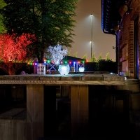 Orgie 2023 - Photos - Acanthus