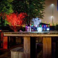 Orgie 2023 - Photos - Acanthus