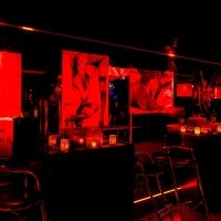 Orgie 2023 - Photos - Acanthus