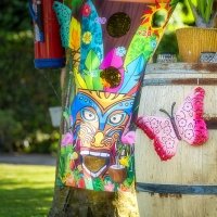 Tropical Swingsteren 2023 - Photos - Acanthus