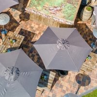 Tropical Swingsteren 2023 - Photos - Acanthus
