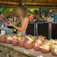 Tropical Swingsteren 2023 - Photos - Acanthus