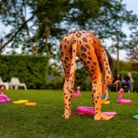 Tropical Swingsteren 2023 - Photos - Acanthus