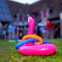 Tropical Swingsteren 2023 - Photos - Acanthus