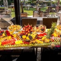 Tropical Swingsteren 2023 - Photos - Acanthus