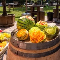 Tropical Swingsteren 2023 - Photos - Acanthus