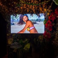 Bikini 2023 - Photos - Acanthus