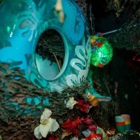 Bikini 2023 - Photos - Acanthus