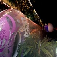 Bikini 2023 - Photos - Acanthus