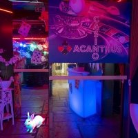 Casino 2023 - Photos - Acanthus