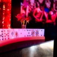 Casino 2023 - Photos - Acanthus