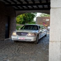 Casino 2023 - Photos - Acanthus