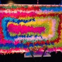 Flower Power 2023 - Photos - Acanthus