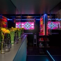 Flower Power 2023 - Photos - Acanthus