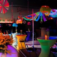 Flower Power 2023 - Photos - Acanthus
