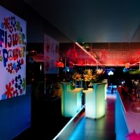 Flower Power 2023 - Photos - Acanthus