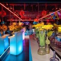 Flower Power 2023 - Photos - Acanthus