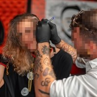 50 Nuances D Acanthus - Photos - Acanthus