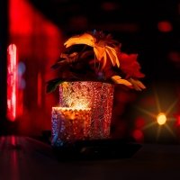 50 Nuances D Acanthus - Photos - Acanthus