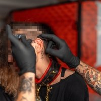 50 Nuances D Acanthus - Photos - Acanthus