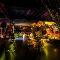 Western 2023 - Photos - Acanthus
