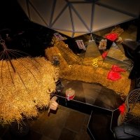 Western 2023 - Photos - Acanthus