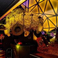Western 2023 - Photos - Acanthus