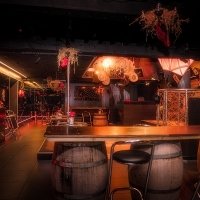 Coyote 2023 - Photos - Acanthus