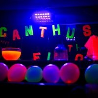Fluo 2023 - Photos - Acanthus